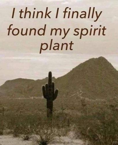 FB_IMG_1666287076186