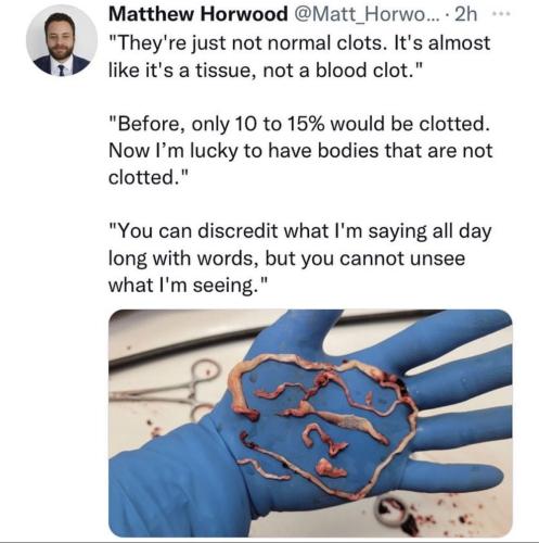 photo_2022-10-26_21-16-35