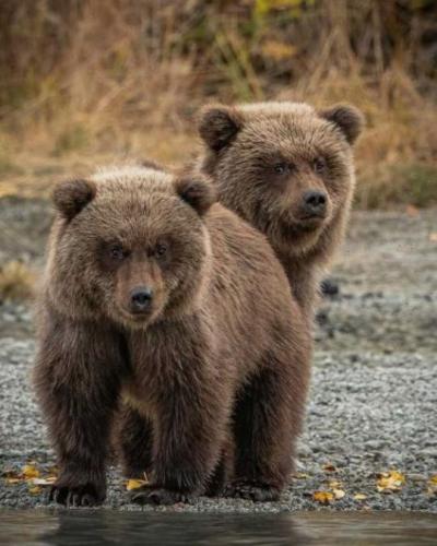 tumblr_7b3c5e27f55d9d0460283e5701458146_c2b8b0c6_540