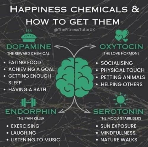 ,                                                                                                                                                                                                                          0 2