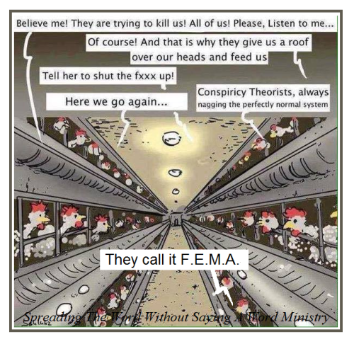 310951515_412468327730967_8978979591321661490_n