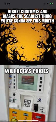 FB_IMG_1665236634761