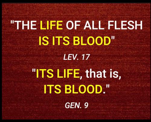 12:29:00 GMT-0400 (EDT)