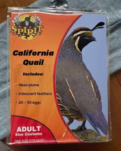 19a3e8c3-a22b-411b-a9ab-5b08a893464a