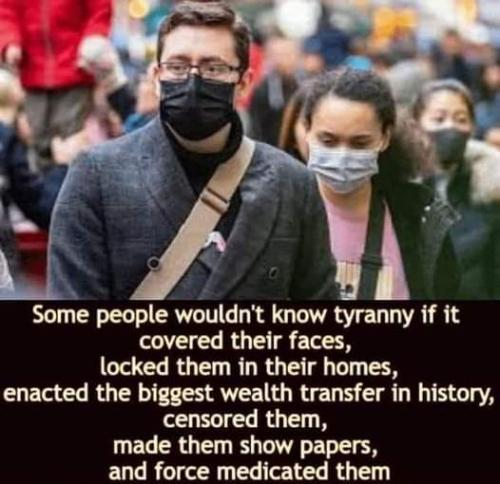 FB_IMG_1664816493076