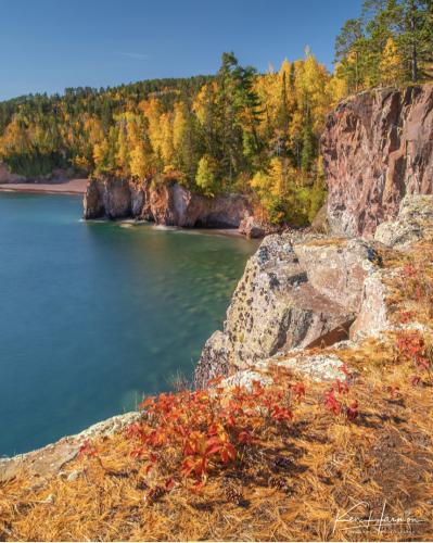 939842E2-D6EE-445E-9913-BE6BFB76E354