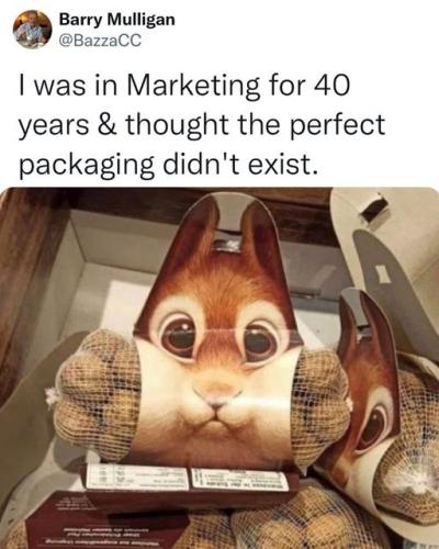 313410381_664690941683325_4388272513541859856_n