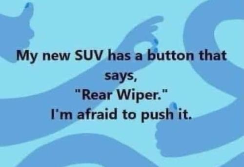 311803345_183259950893633_7950090365431299305_n