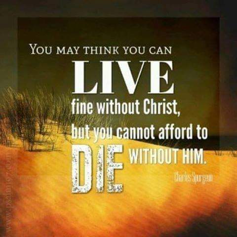 FB_IMG_1665669848564