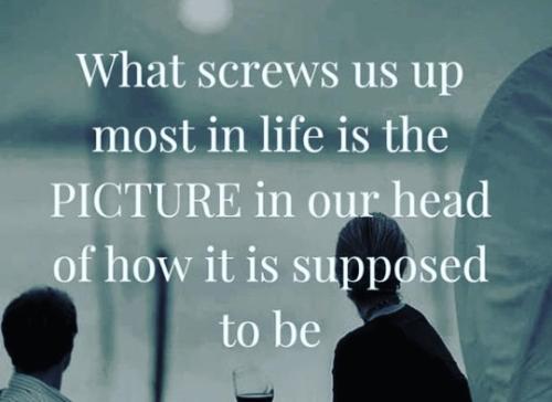 tumblr_29e058df239e26dbc03e87bdb3a522d3_80fbefe3_540