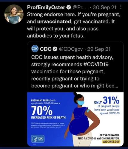 6861e574a704b5a14e8228d9f59f4ae8_500x0