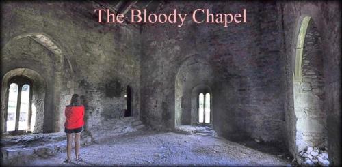 Leap Castle, Coolderry, Ireland 2