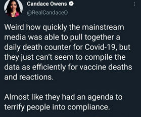 candace owens64