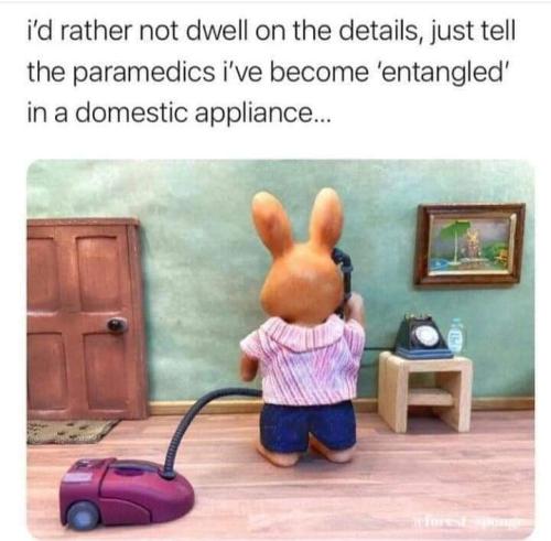 FB_IMG_1664812703042