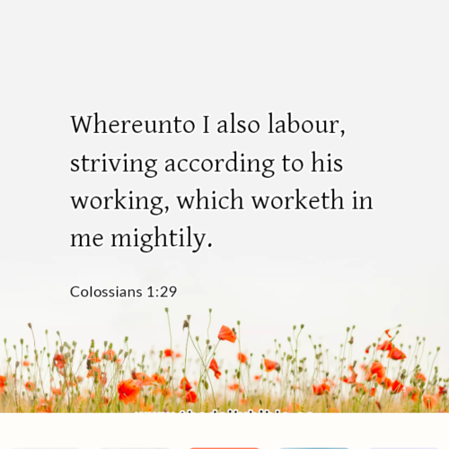 dailybible_20221020-220454_Colossians_1-29
