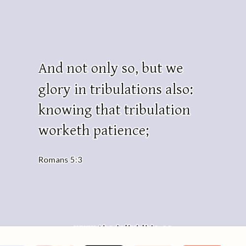 dailybible_20221024-184533_Romans_5-3