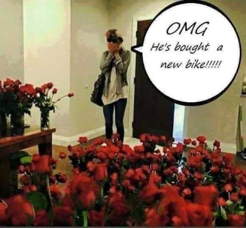 FB_IMG_1666982832174