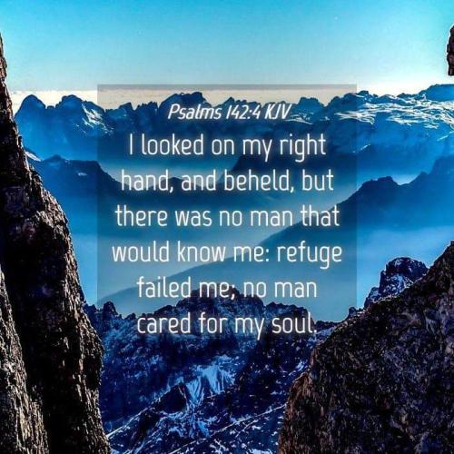 FB_IMG_1666187846346