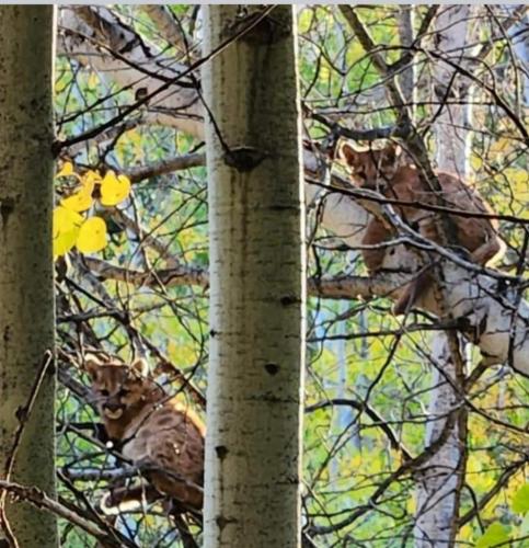 1d436be6-bedc-42a0-85ee-2e55a07d8b06