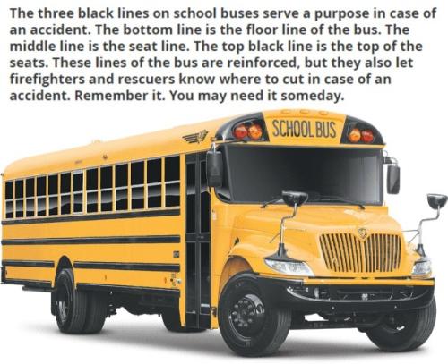 School bus safety lesson 613px