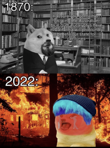 09:24:55 GMT-0400 (Eastern Daylight Time).image