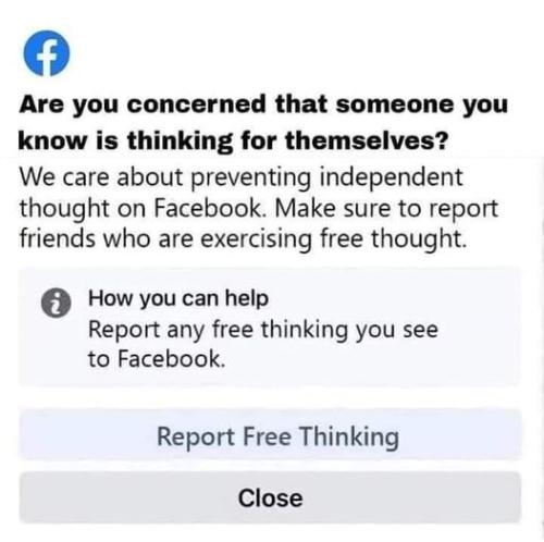 312240996_482307897292705_3150153626337271358_n