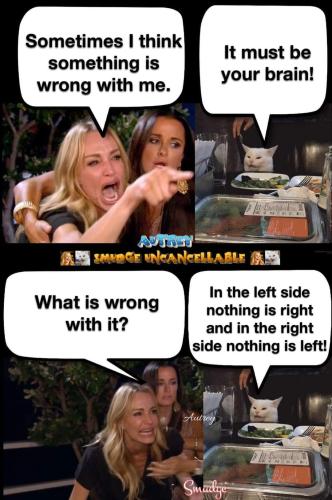 FB_IMG_1664898065680