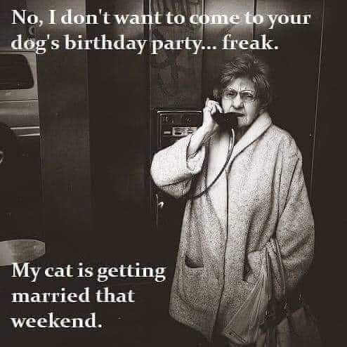 FB_IMG_1664737478619