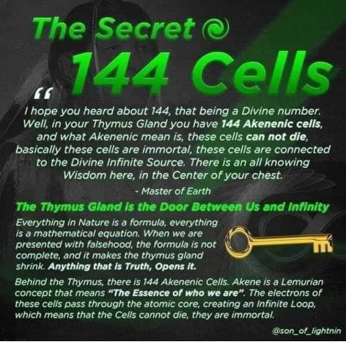 ,                                                                                                                                                                                                                          0 2