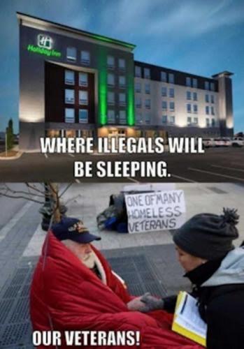 illegal immigration298