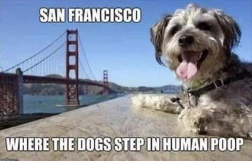 FB_IMG_1665513421993