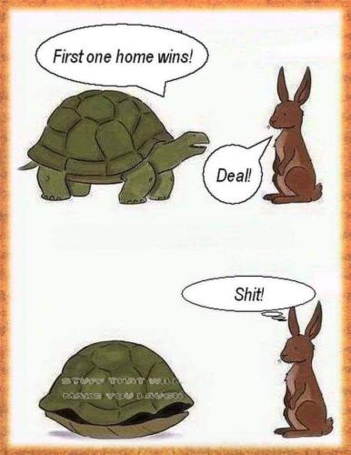 FB_IMG_1666802853876