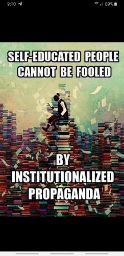 8ff142d4-cd85-4843-9019-12b8ddb77e55