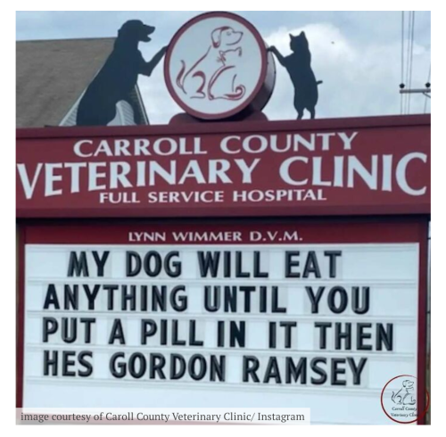 Screenshot_20221013-122927~2