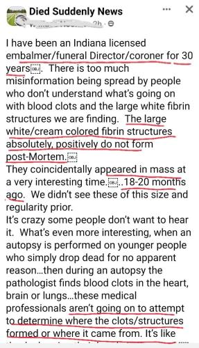 IMG_20221018_215534_731