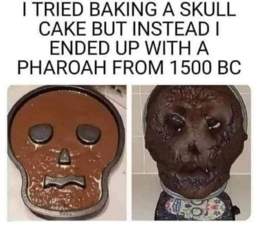 FB_IMG_1666556763837
