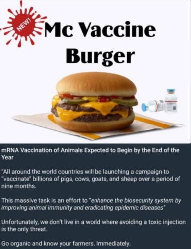 animal vaccine00