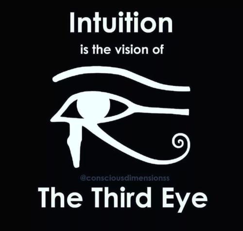 Screenshot_2022-10-28-11-16-54-69_1c337646f29875672b5a61192b9010f9