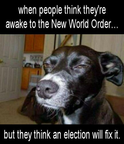 NWO71