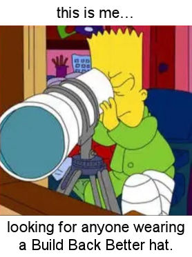 buildbackbetter89