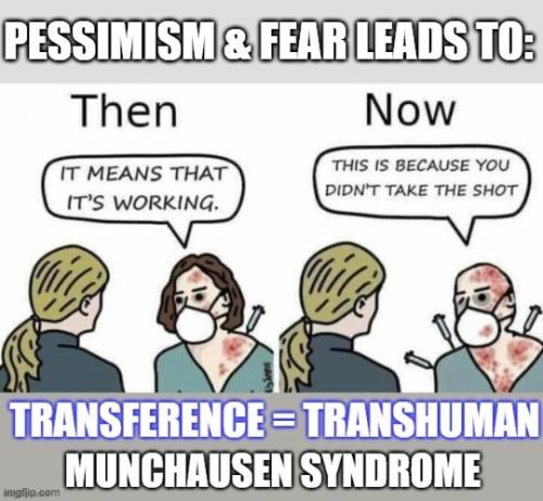 xephula_659c251379fe298331c251385644a625