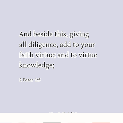dailybible_20221007-235110_2_Peter_1-5