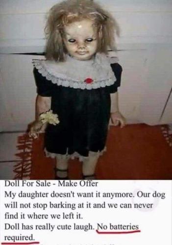 FB_IMG_1666199705846