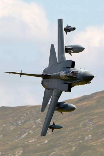 310797184_176640648272846_7423322122983297479_n