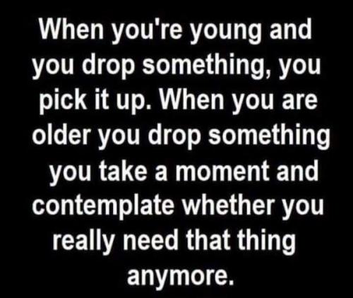 313347497_492274566274300_3597642201960311331_n