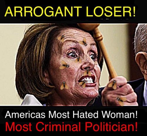 Pelosi 1