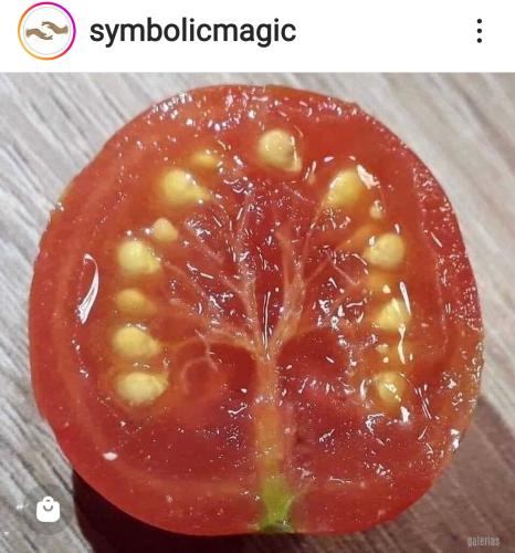 Screenshot_2022-10-26-13-25-03-55_1c337646f29875672b5a61192b9010f9