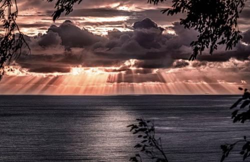 756B40C8-EC9D-474E-990C-29B2AF6A9D68