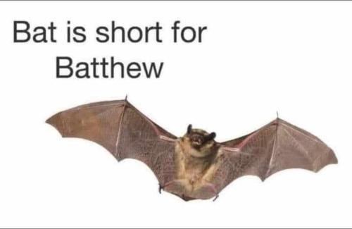 520afe6b-7d80-45ed-8066-24243e3e9945