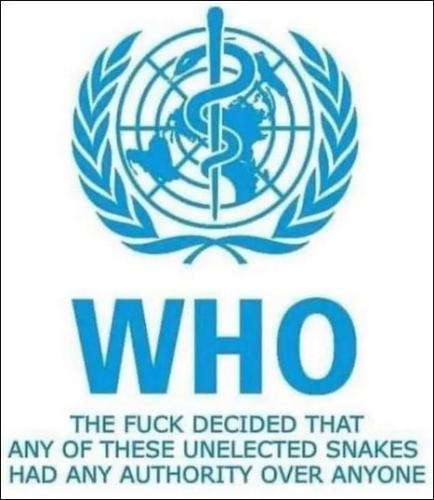 WHO15